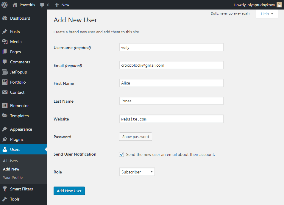 Add new user in WordPress Dashboard