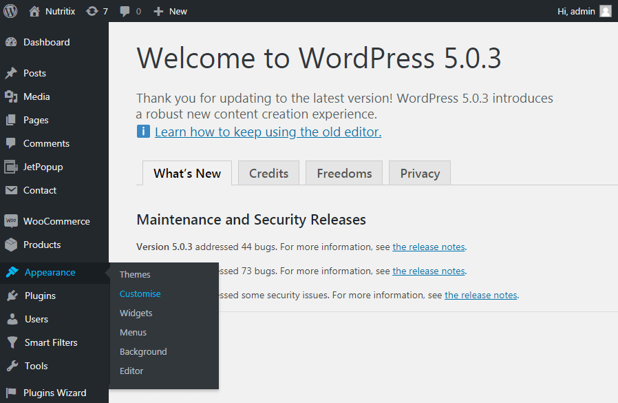 appearance cutomise in wp dashboard