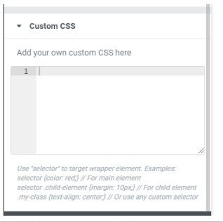 Custom CSS