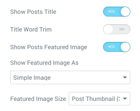 Posts widget Genersl settings section