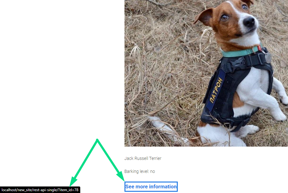 rest api single query argument