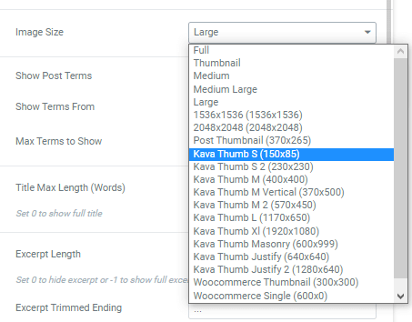 image size settings of smart posts tiles widget