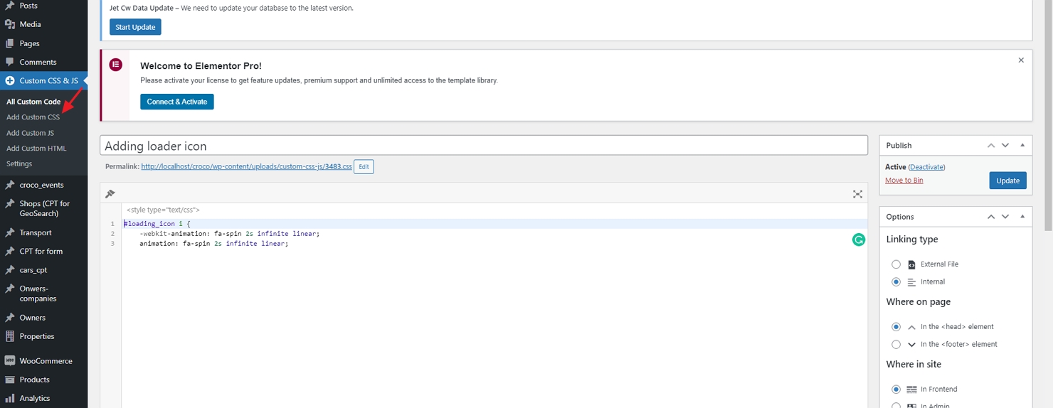 custom css and js field