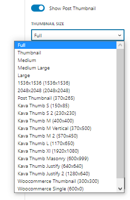 show post thumbnail toggle of ajax search results area blocks