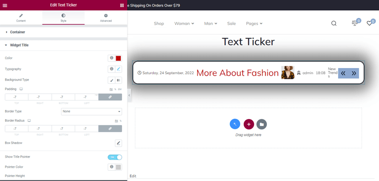widget title settings of text ticker widget