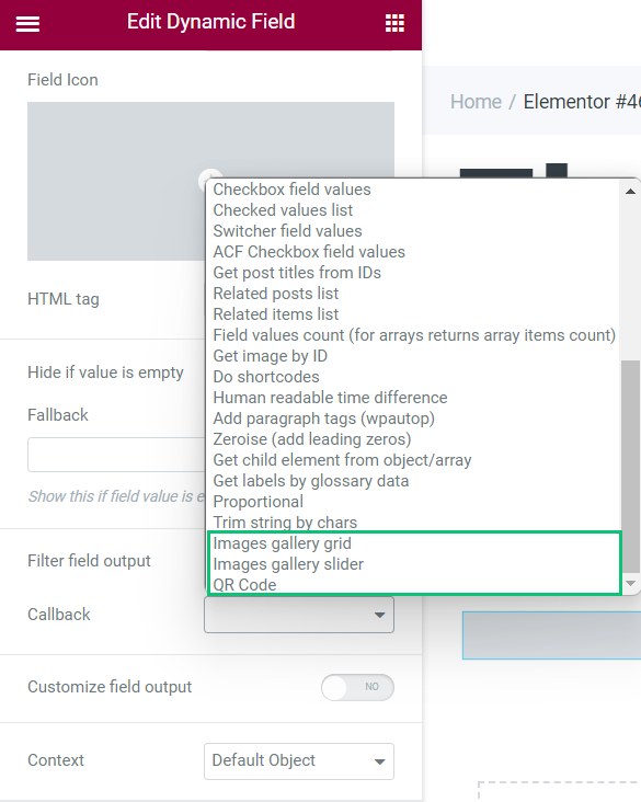 dynamic modules as the dynamic field callbacks