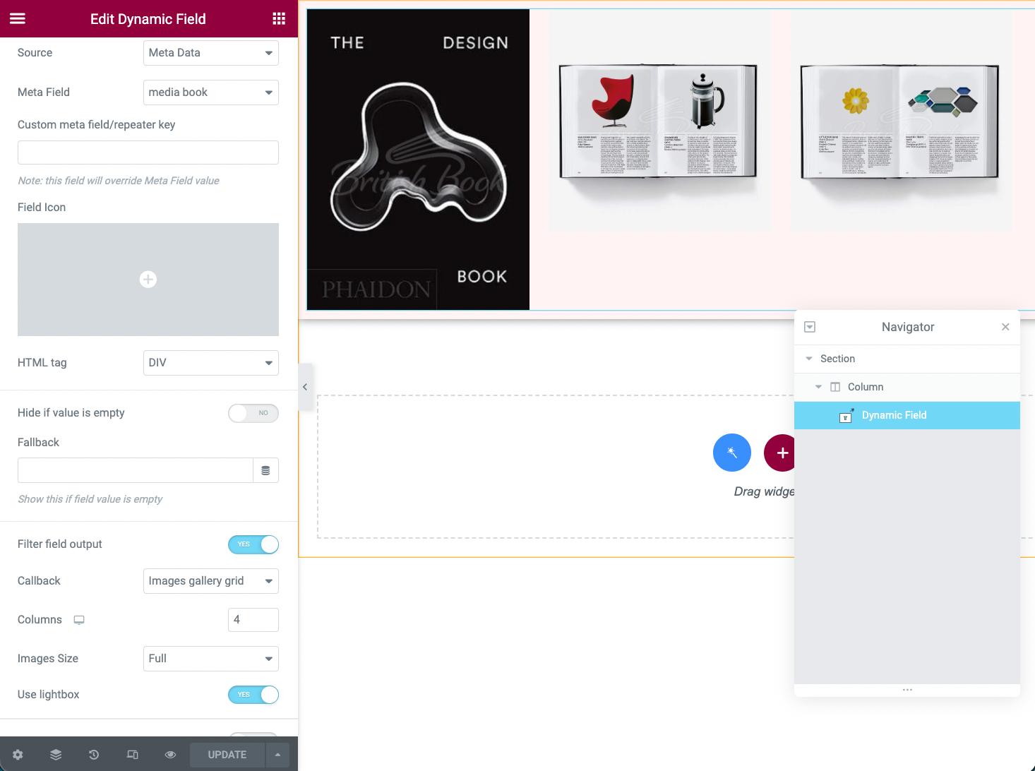 dynamic field settings in elementor