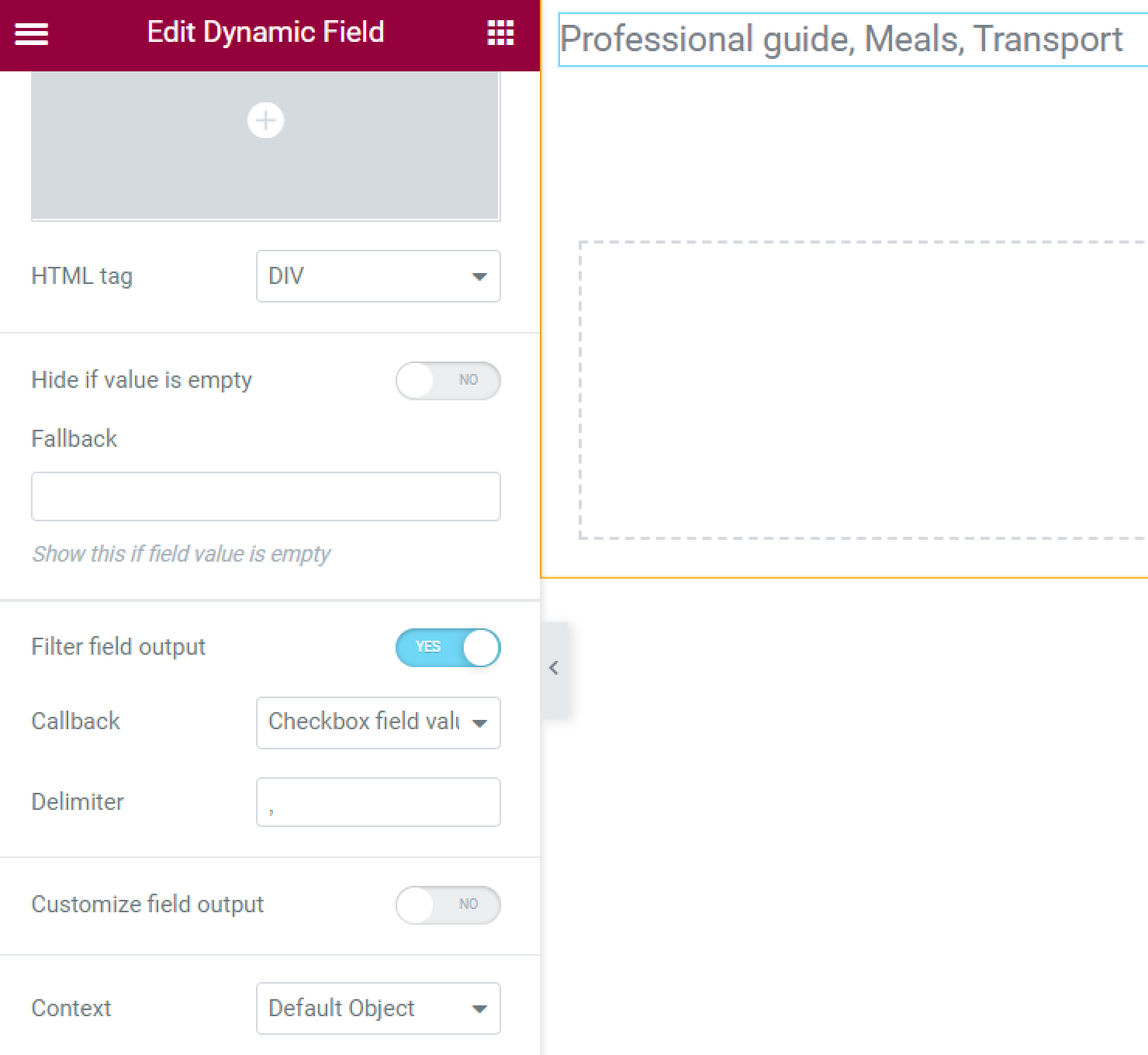 checkbox field values