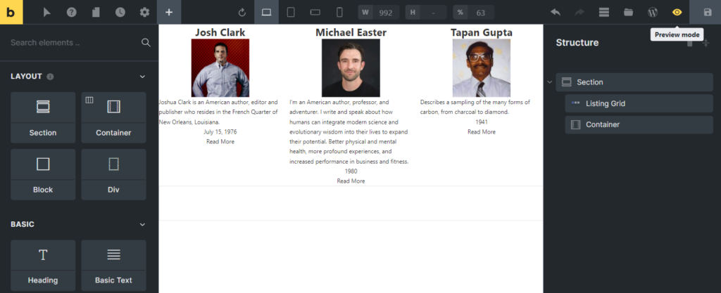 preview mode in the bricks editor