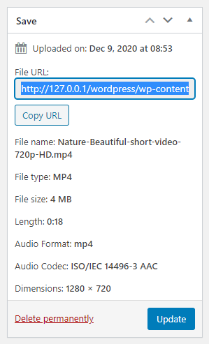 copy the video's URL