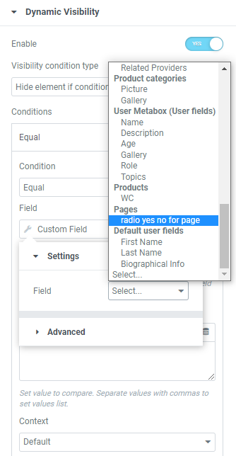 custom field dynamic tag