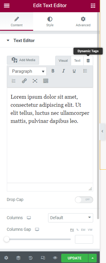 dynamic tag button in elementor