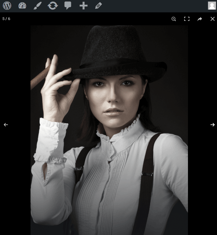 photoswipe gallery