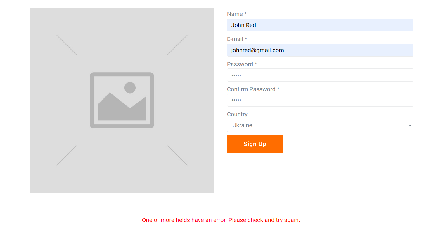 form fields error