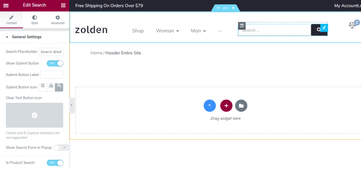 search widget in the header